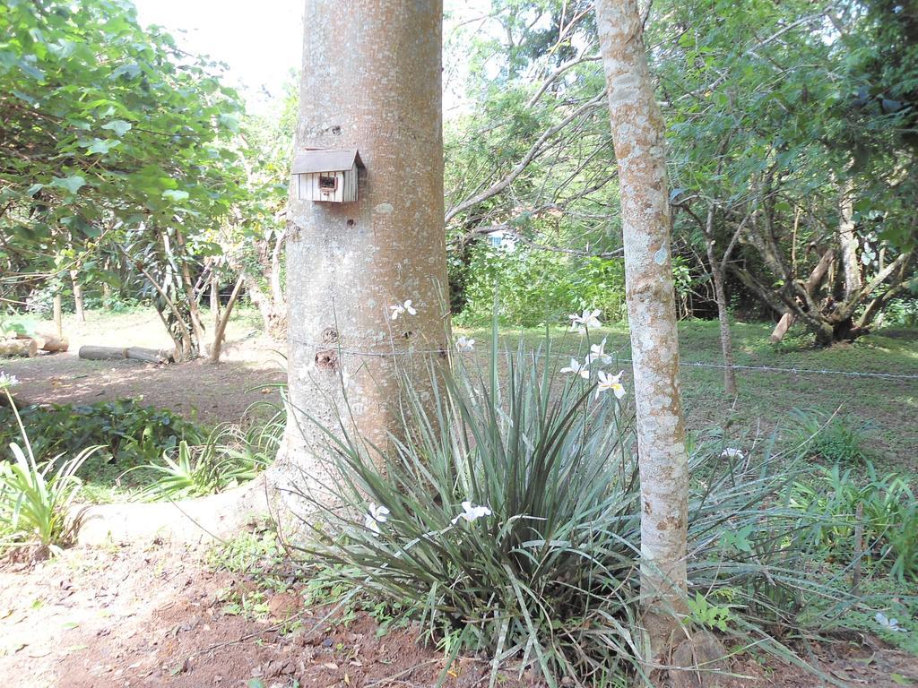 Recanto Dos Pássaros Estalagem